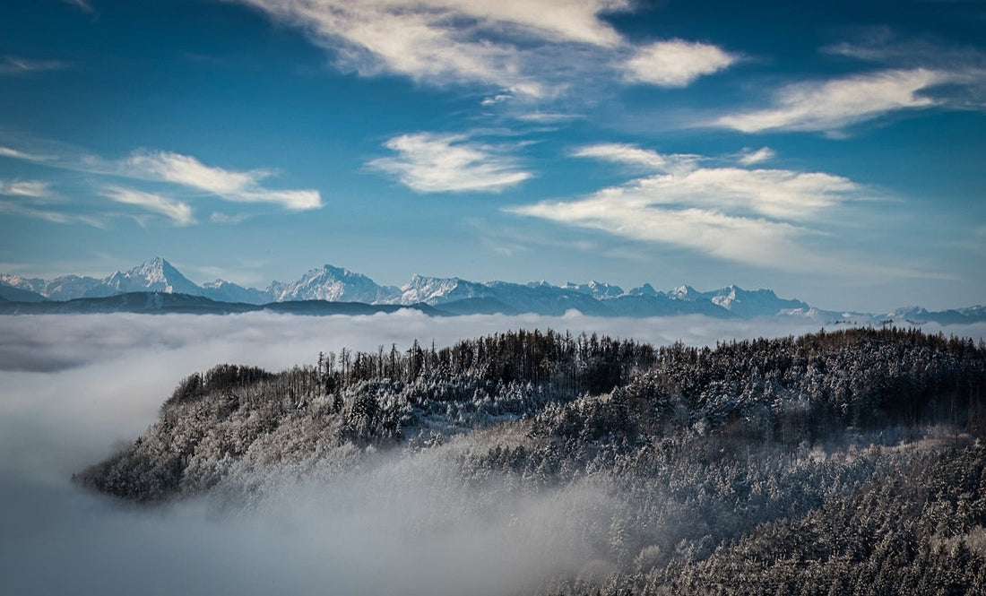 True North Heli-Tee Inspiration